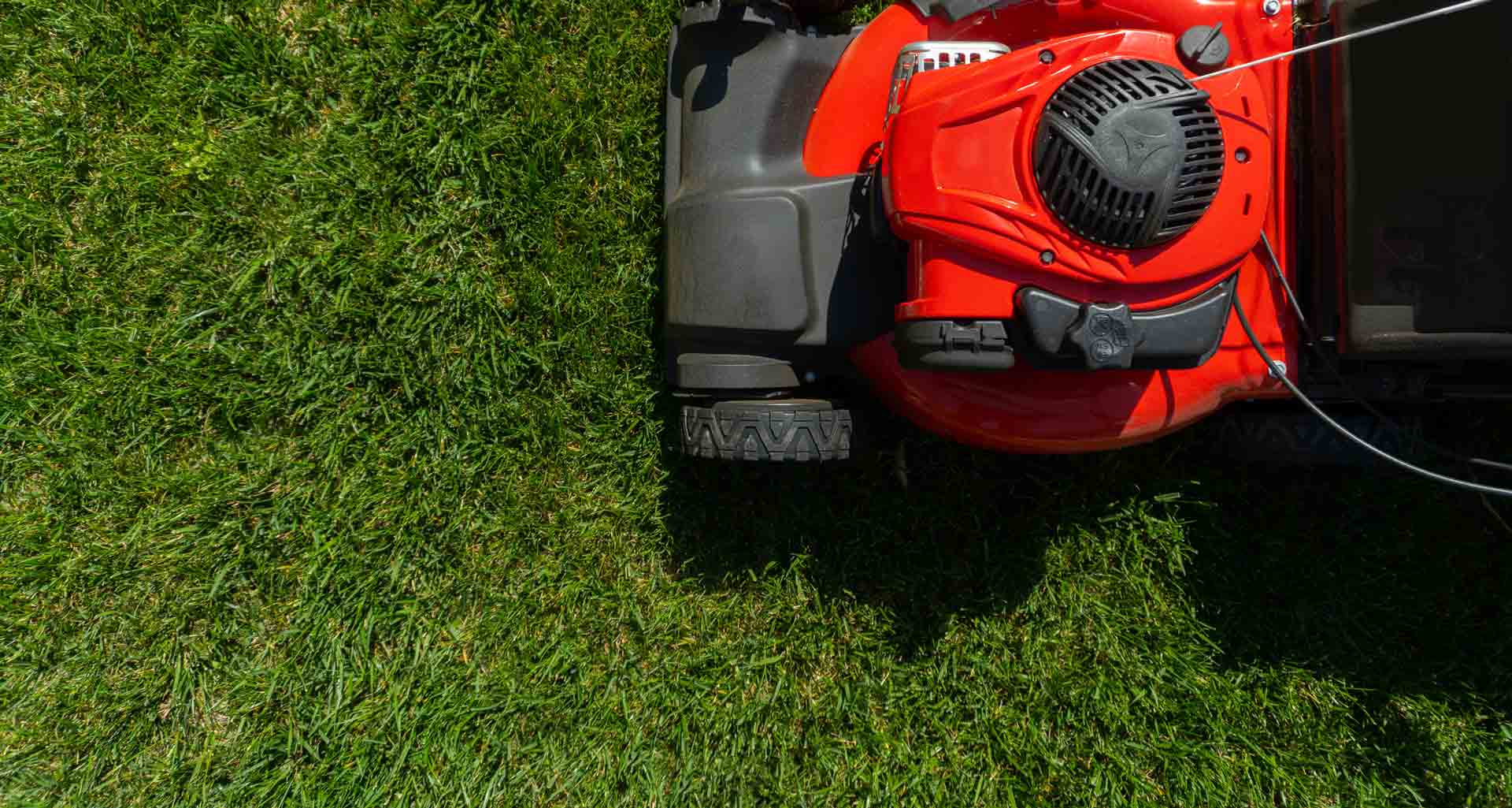 Commercial Landscaping